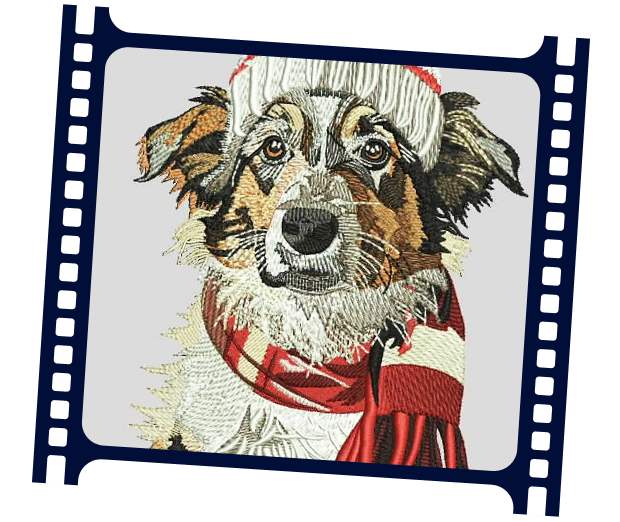 Digitize Picture Of Your Pets For Embroidery